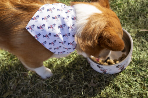Dog wearing a bandana with blake man on it eating out of a bowl with blake man on it.
