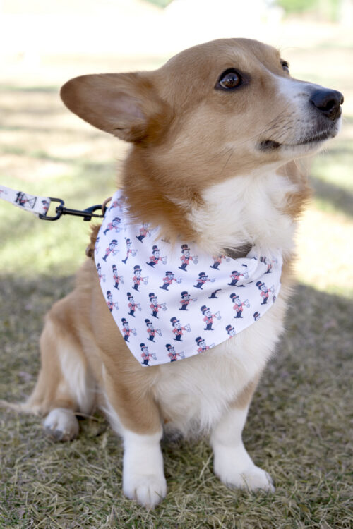 Dog sitting down wearing a bandana with blake man on it and a leash with blake man on it.