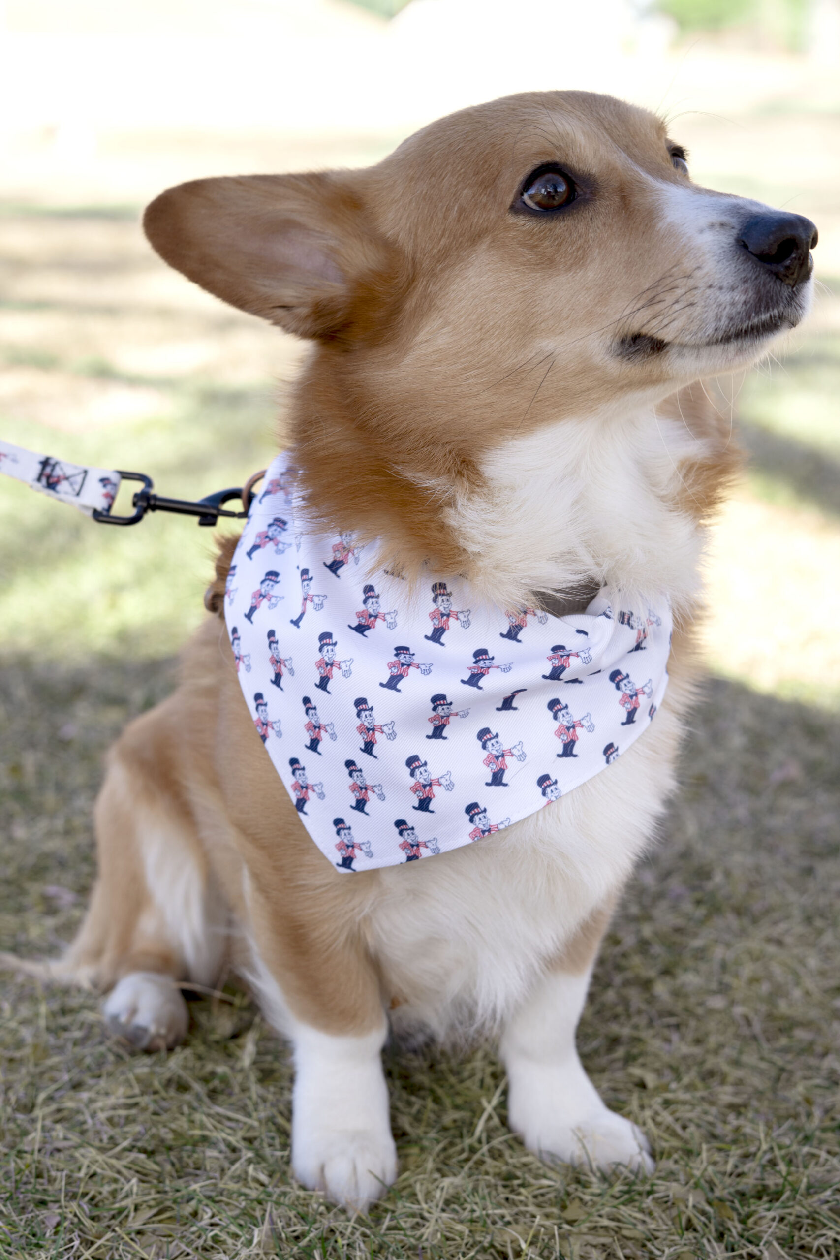 Dog sitting down wearing a bandana with blake man on it and a leash with blake man on it.