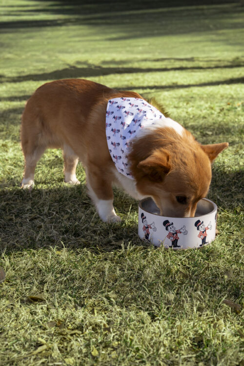 Dog eating out of a bowl with blake man printed on it