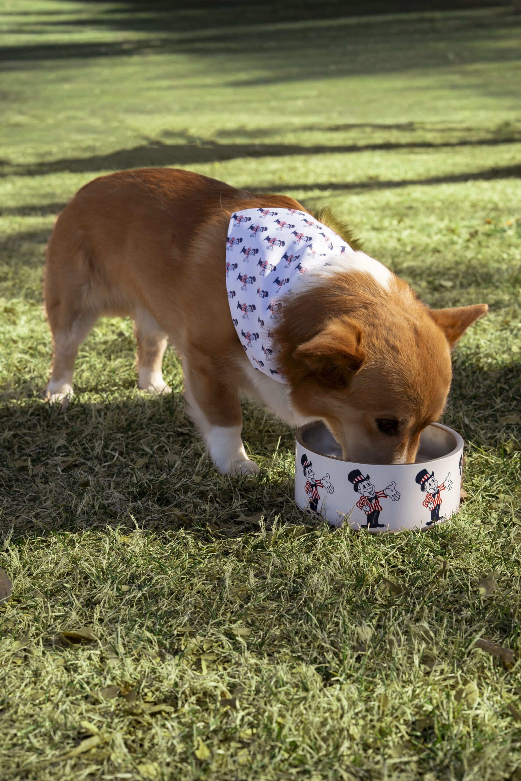 Dog eating out of a bowl with blake man printed on it