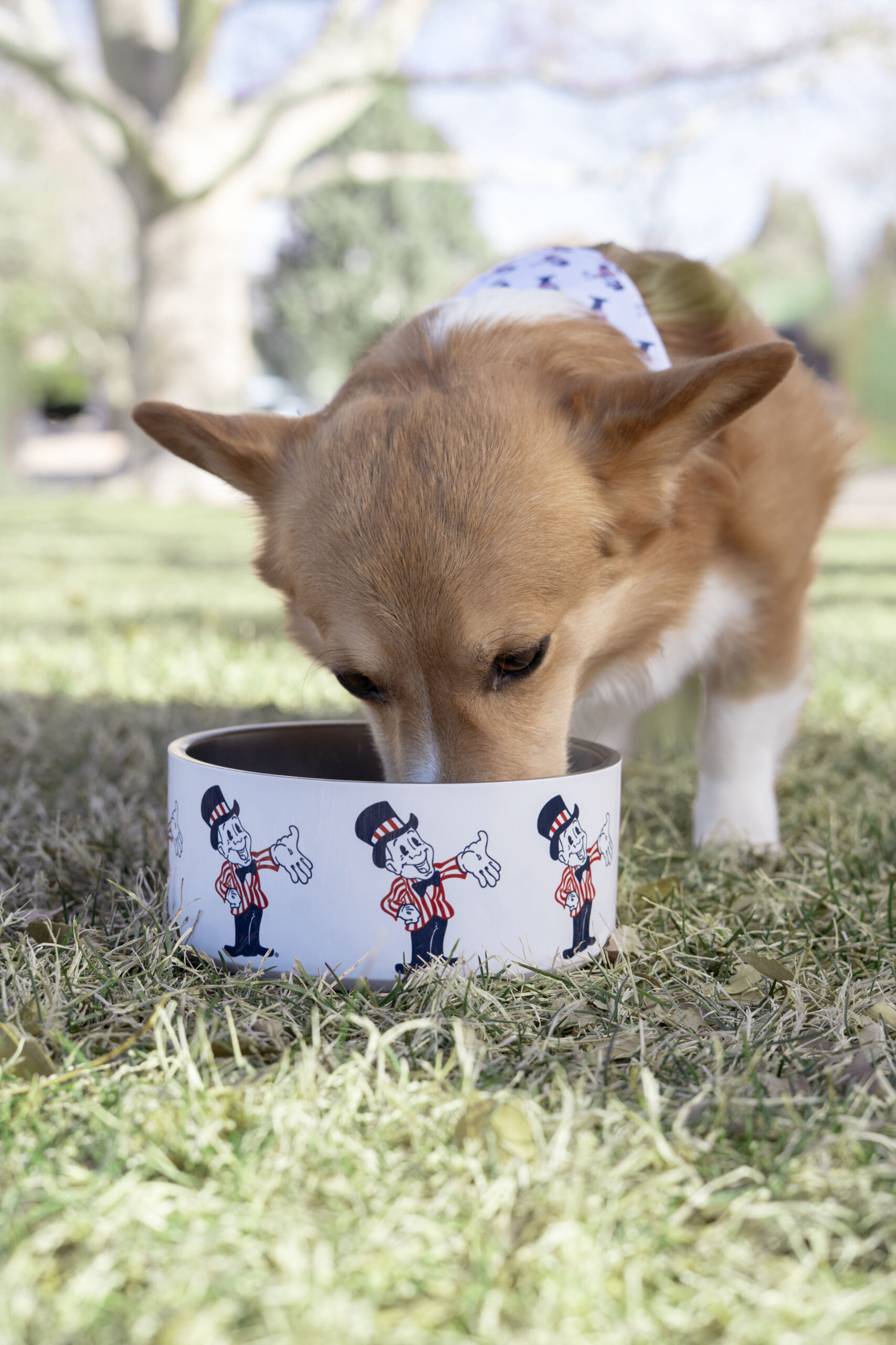 Dog eating out of a bowl with blake man printed on it