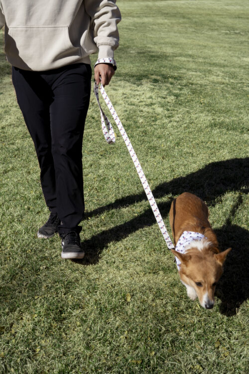 Dog being walked with a leash that has blake man printed on it in a repeated pattern.